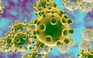 Virus Corona- Kinh doanh gì mùa dịch?